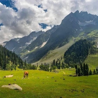 CARI TEMAN EKSPLORE INDIA (LADAKH DAN KASHMIR)