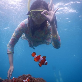 Ada yang Mau Trip Ke Karimunjawa Musim Lebaran Idul Fitri?