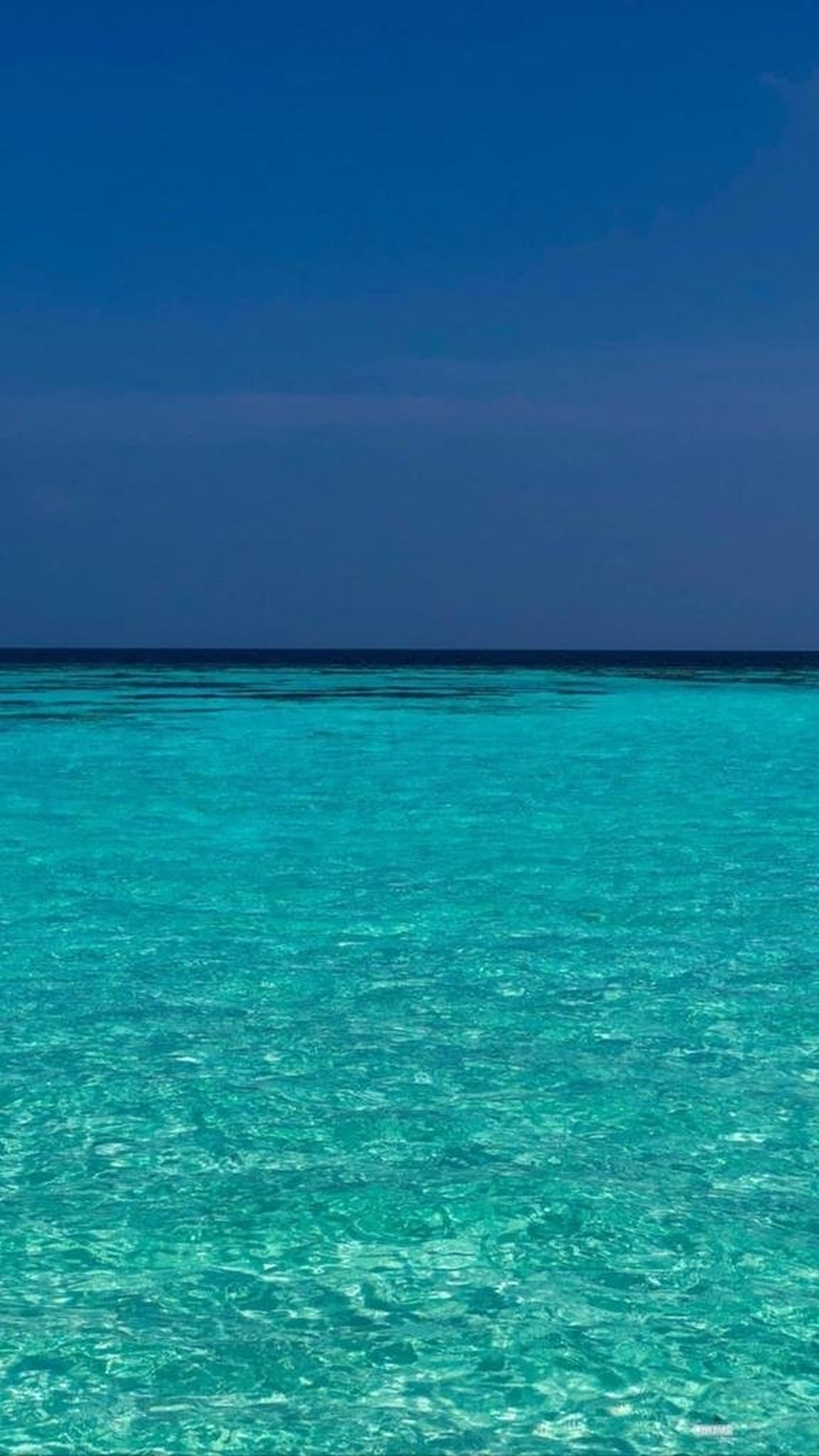 Share cost Raja Ampat oktober 2022 (Close)