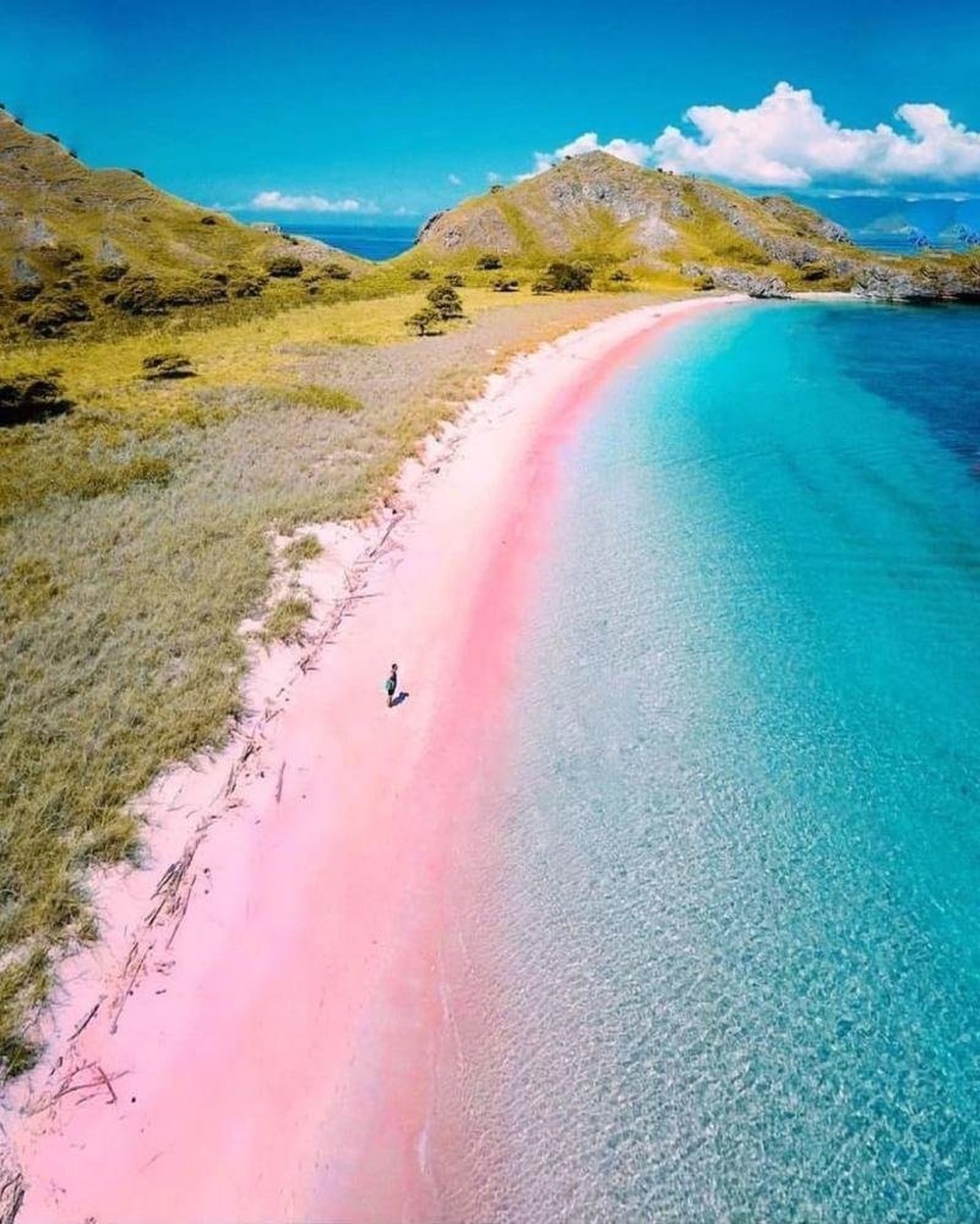 🌈 NEW NORMAL TRIP, CHECK  🌈 SAILING KOMODO 22-25 MEI 2021 🌈
