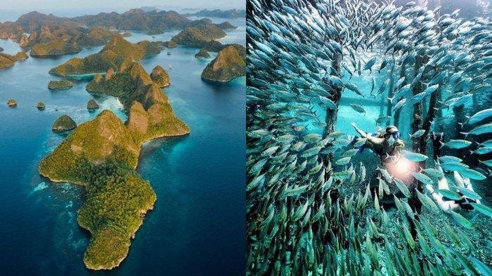 CARI TEMEN EXPLORE MISOOL RAJA AMPAT, 14-16 OKTOBER 2021 (6H5M)