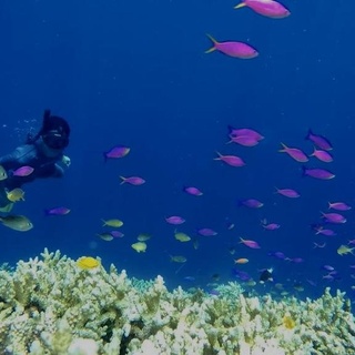 Paket Open Trip Liburan Wisata DERAWAN Travel Tour 4D3N