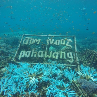 OPEN TRIP PULAU PAHAWANG
