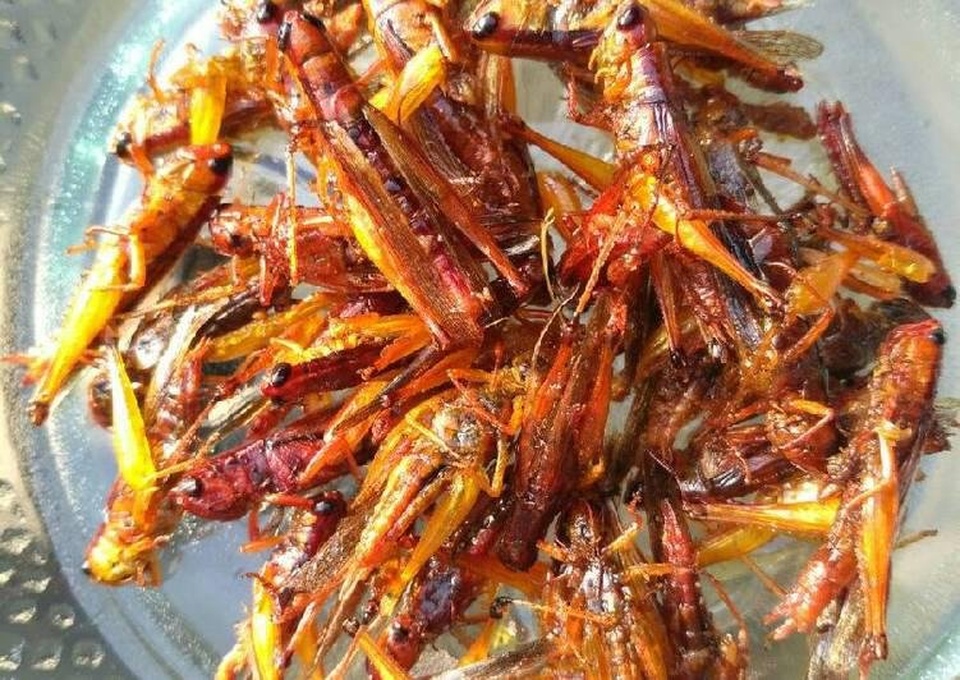 5 Makanan Ekstrim Ini Ada di Banyuwangi