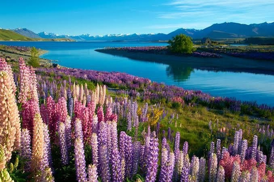 New Zealand Road Trip South Island