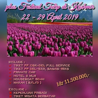 OPEN TRIP INDIA APRIL 2019 ( GOLDEN TRIANGLE + TULIP DI KASHMIR )