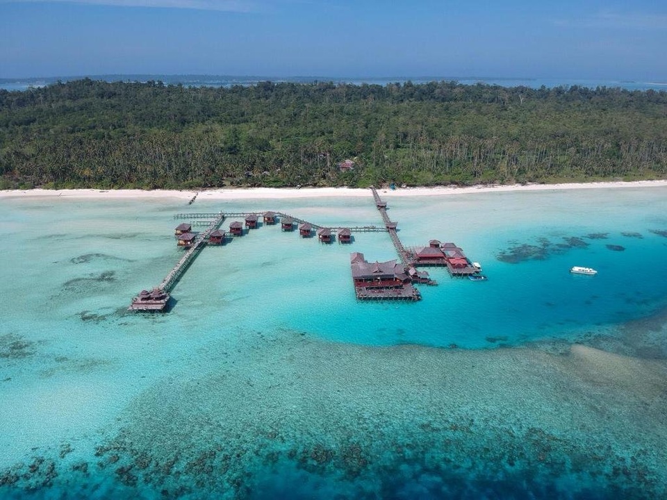 OPEN TRIP DERAWAN LABUAN CERMIN WHALESHARK