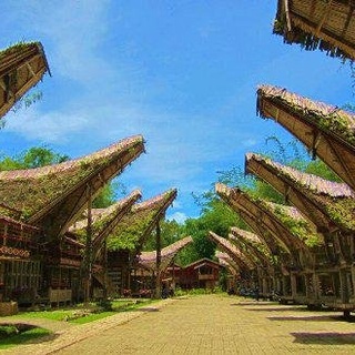 11 hari overland explore Toraja, Barru, Maros, Makassar !!!