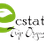 ecstatictrip