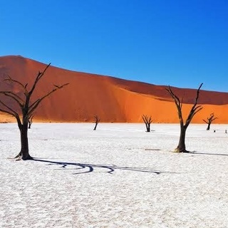 KENYA & TANZANIA (SA + NAMIBIA MASIH DALAM PERTIMBANGAN)