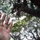 anik purwanti