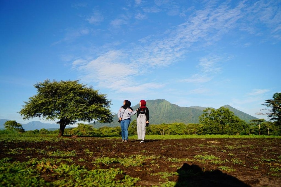 OPEN TRIP / PAKET WISATA / GATHERING MENJANGAN IJEN BALURAN