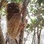 guidebelitung
