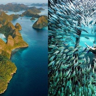 CARI TEMEN EXPLORE MISOOL RAJA AMPAT, 14-19 OKTOBER 2021 (6H5M)