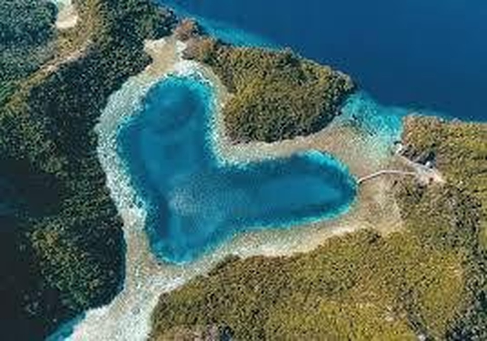 CARI TEMEN PATUNGAN EXPLORE MISOOL RAJA AMPAT 14-19 OKTOBER 2021 (6D5N)