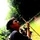 ilhamsutiawan