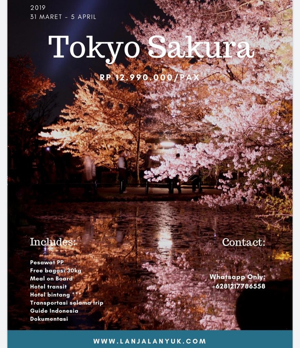 SAKURA DI JEPANG