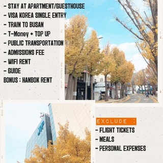 OPEN TRIP AUTUMN IN SEOUL & BUSAN 2020