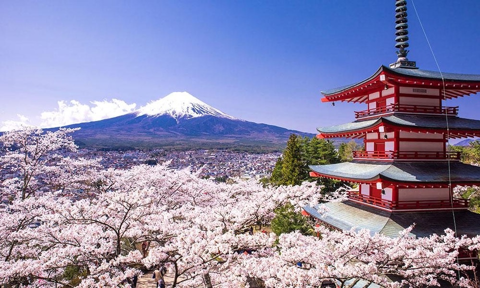 Edu Tour Goes to Japan 2019