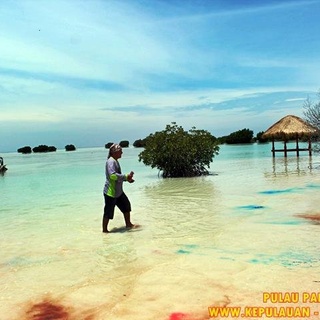 Pulau Pari Wisata Pantai Pasir Perawan Yang Cukup Terkenal Di Kepulauan Seribu Jakarta