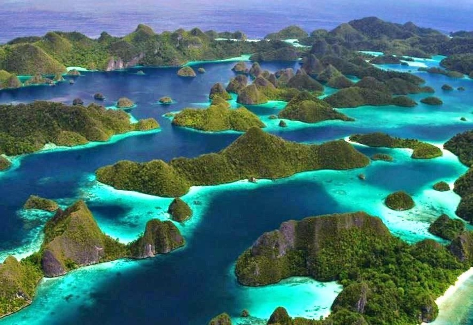 CARI TEMEN EXPLORE MISOOL RAJA AMPAT, 14-19 OKTOBER 2021 (6H5M). 4 ORANG LAGI