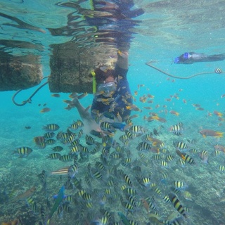 OPEN TRIP PULAU PAHAWANG