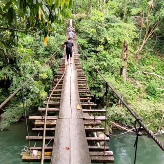 Cari teman jalan ke Tangkahan, Sumatera Utara