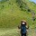 absantoso