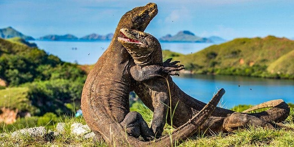 SAILING KOMODO 17 AGUSTUS 2022