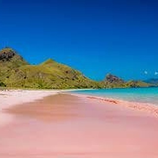 CARI TEMEN SAILING KOMODO 15-18 AGUSTUS 2020
