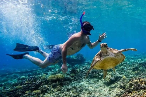 Open Trip Snorkeling Gili Trawangan – 3 Gili + Underwater Statue + Turtle Experience