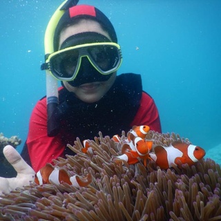 Ada yang Mau Trip Ke Karimunjawa Musim Lebaran Idul Fitri?