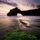 travellerclub