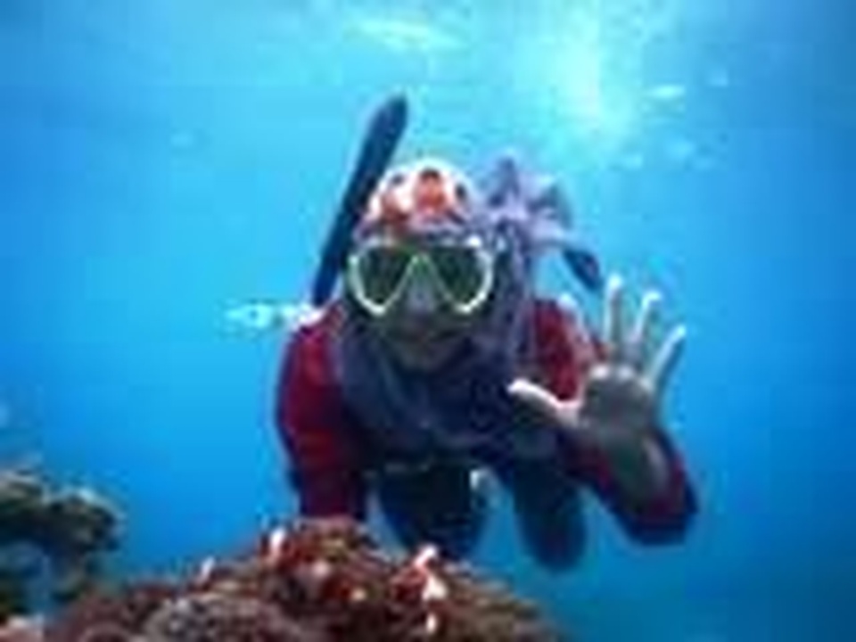 Ada yang Mau Trip Ke Karimunjawa Musim Lebaran Idul Fitri?