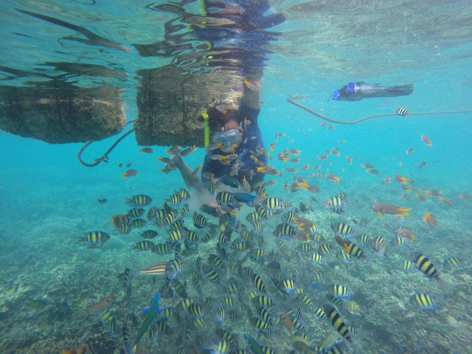 OPEN TRIP PULAU PAHAWANG LAMPUNG 21 - 23 OKTOBER 2022