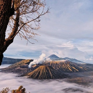 Pengalaman liburan ke Bromo