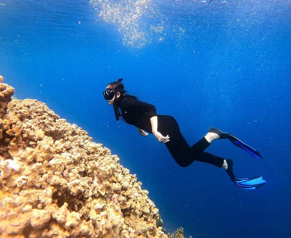 Open Trip Menjangan Tabuhan