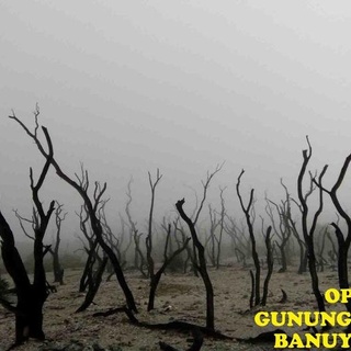 Open Trip Gunung Papandayan Garut 2019