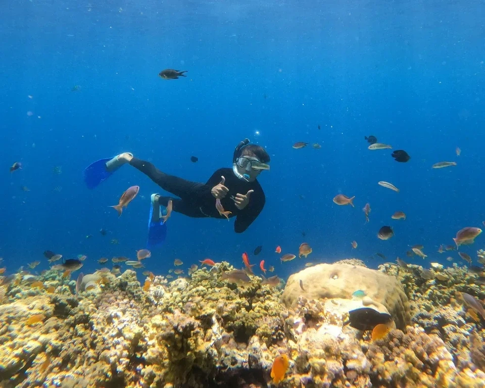 Jadwal Open Trip Pulau Menjangan Tabuhan Rutin 2025: Nikmati Keindahan Bawah Laut!