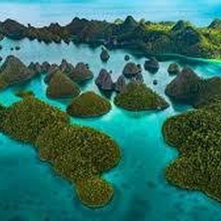 EXPLORE RAJA AMPAT 16 -19 OKTOBER 2021