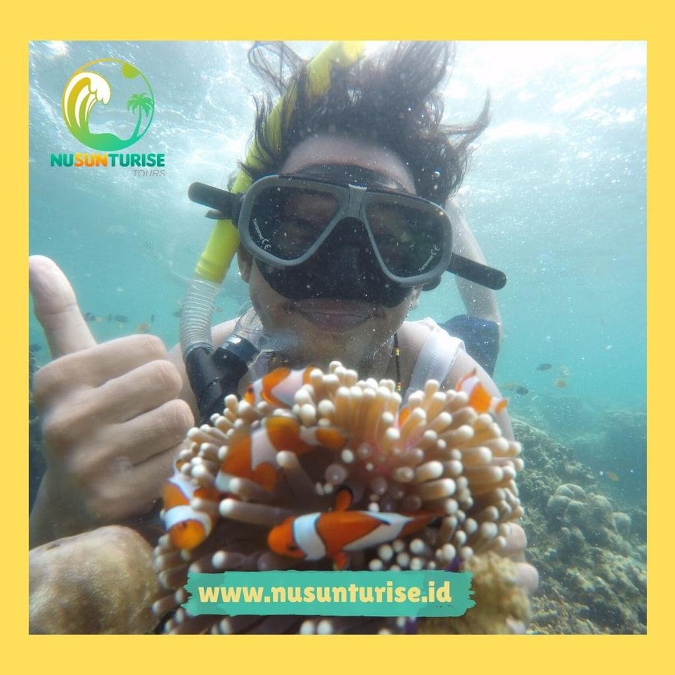 OPEN TRIP P. PAHAWANG 3H2M | BERANGKAT TIAP WEEKEND