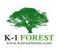 K-1 Forest avatar